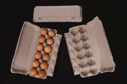 10 Egg Premium Tray